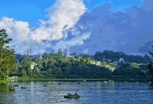 Ooty