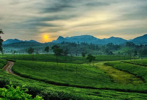 Ooty