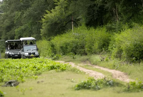 Nagarhole National Park