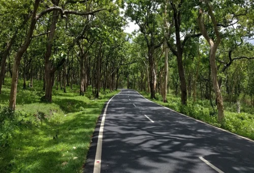 Best Bandipur Tour