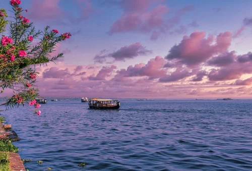 Best Kochi Tour