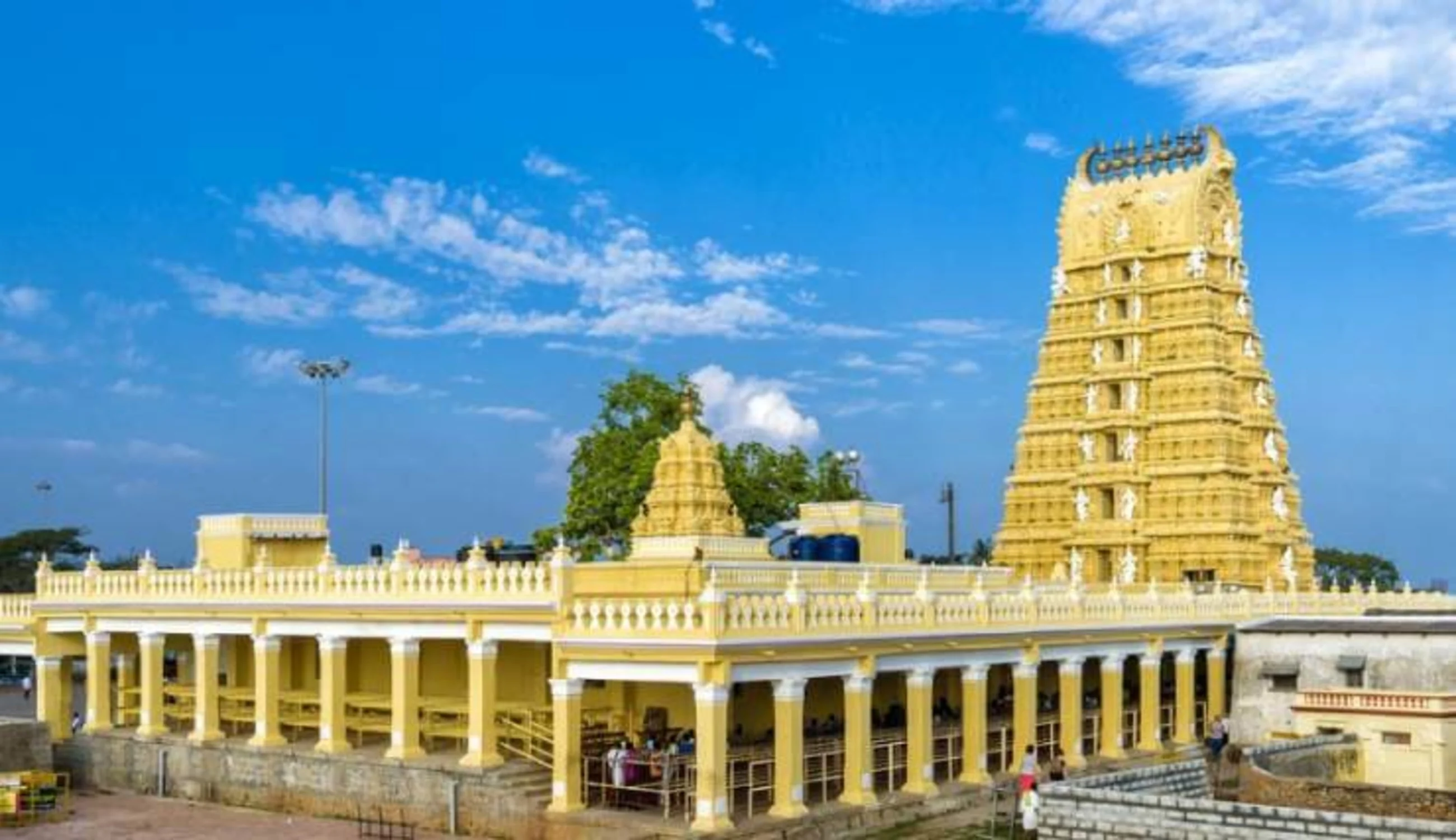 Mysore