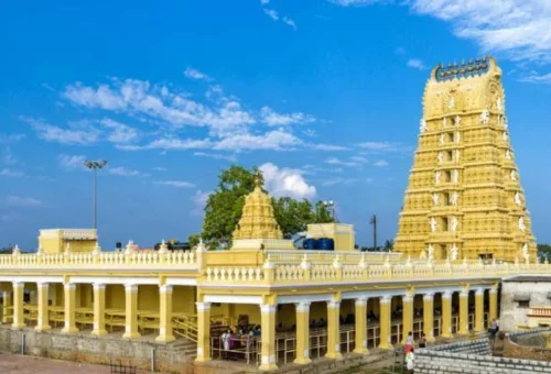 Best Mysore tour