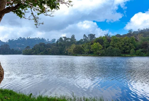 Kodaikanal