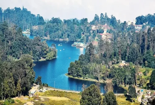 Best Kodaikanal Tour