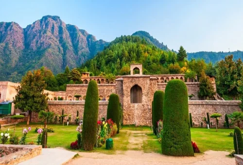 Best Srinagar Tour