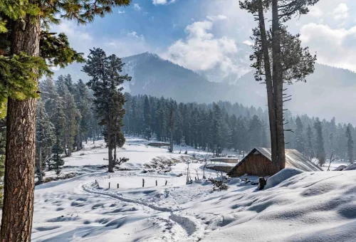 Best Pahalgam Tour