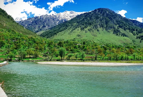 Best Pahalgam Tour