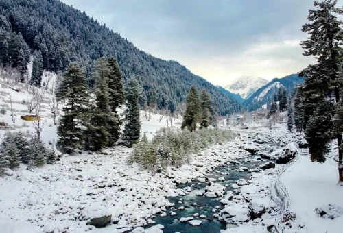 Best Pahalgam Tour