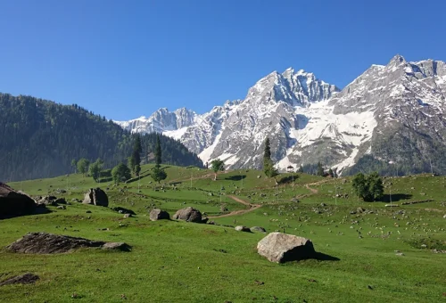 Best Sonmarg Tour