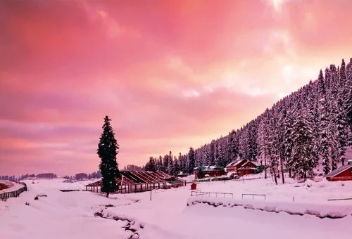 Best Gulmarg Tour