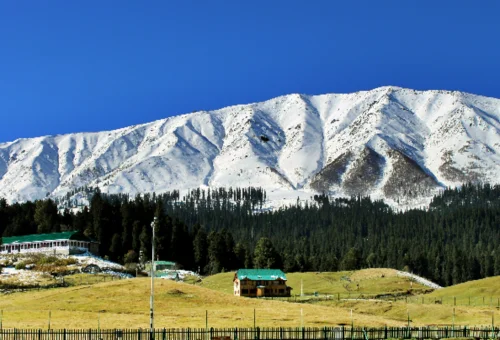 Best Gulmarg Tour