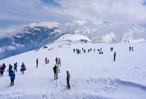 Best Gulmarg Tour