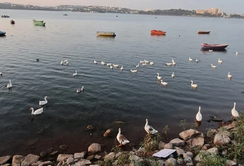 Bhopal