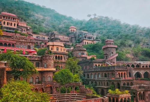 Best Neemrana Tour