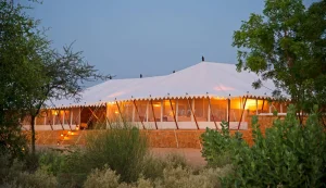 The Serai
