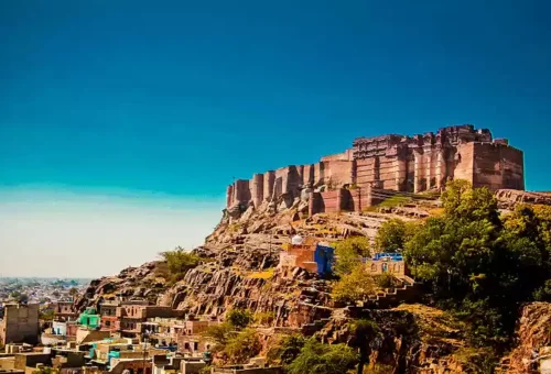 Best Mihirgarh Tour