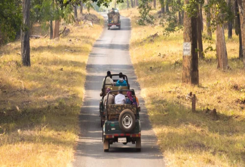 Best Maharashtra Tour