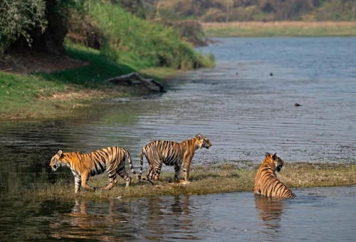 Best Maharashtra Tour