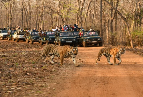 Best Maharashtra Tour