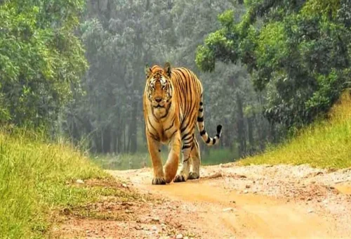Best Maharashtra Tour