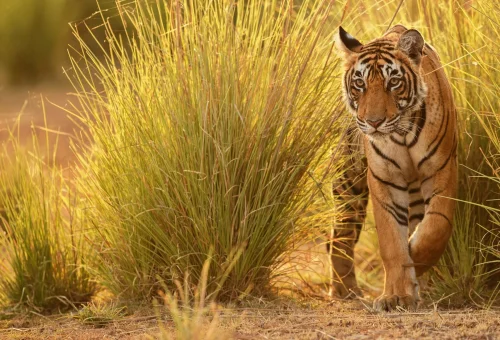 Best Maharashtra Tour