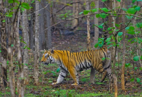 Best Maharashtra Tour