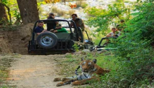 Jim Corbett