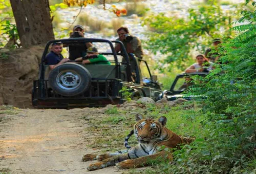 Jim Corbett