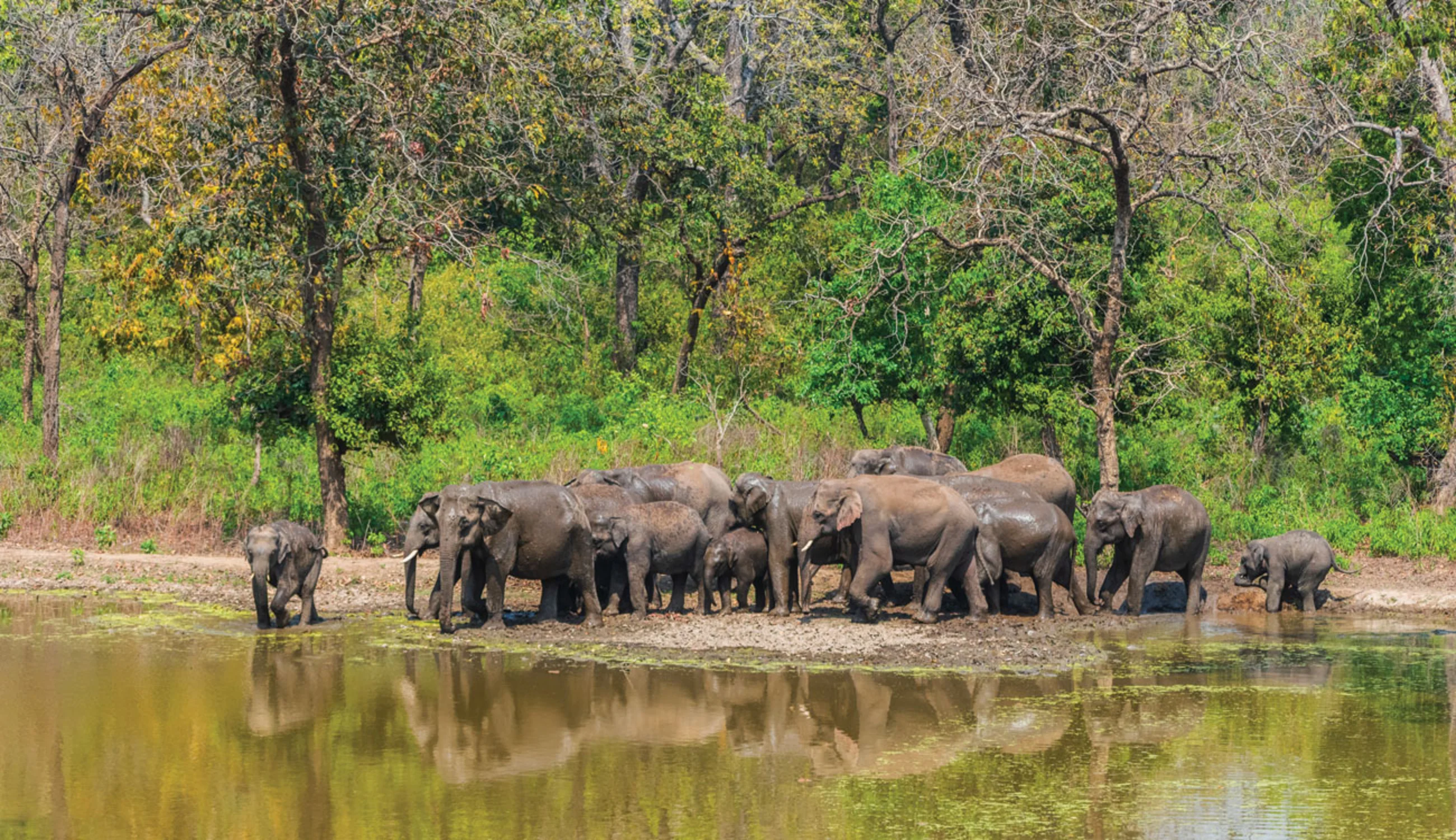 Rajaji National Park