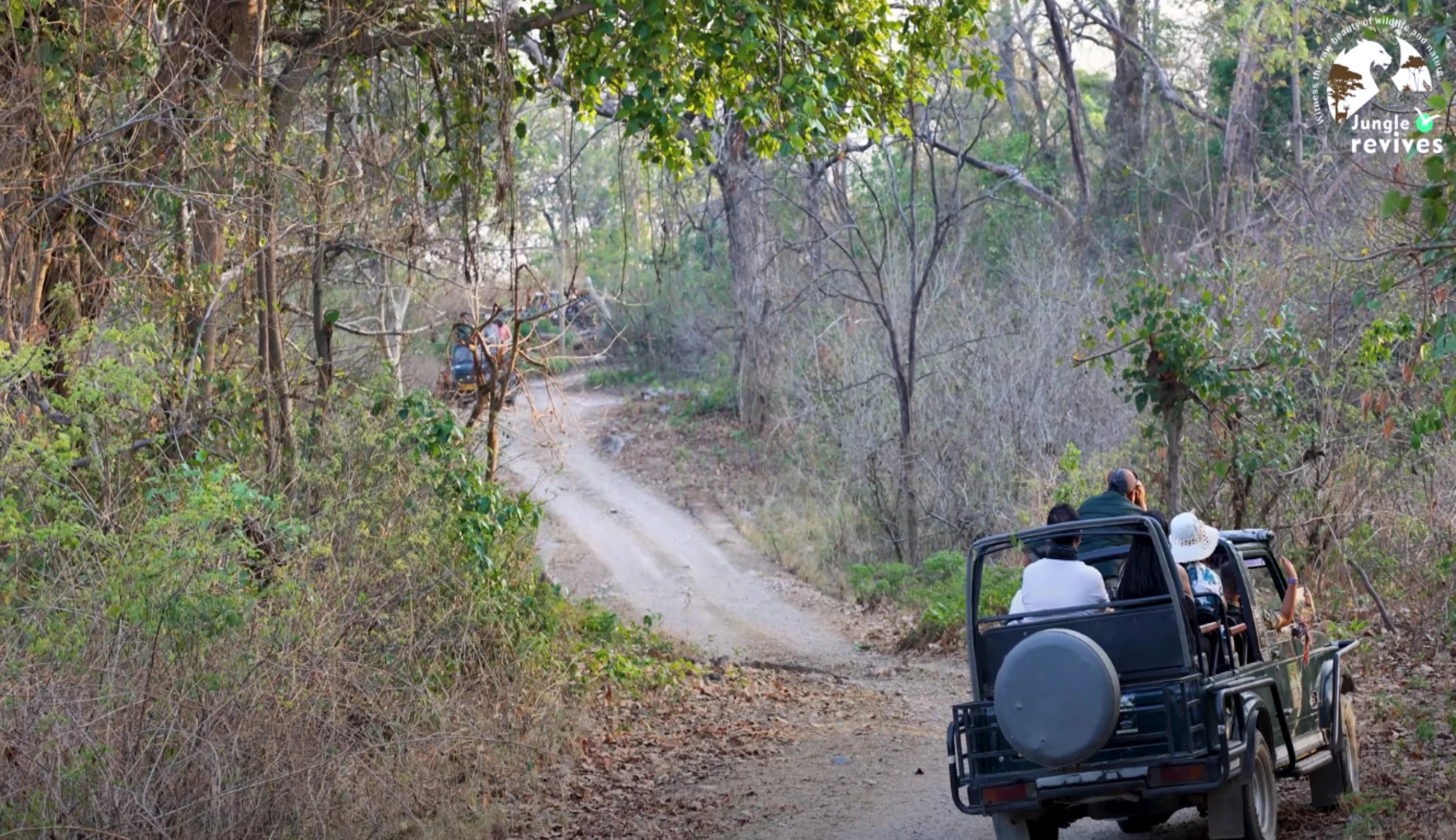 Jim Corbett National Park