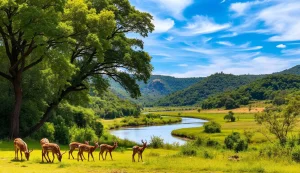 Jim Corbett National Park