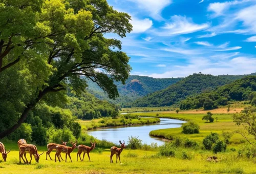 Jim Corbett National Park