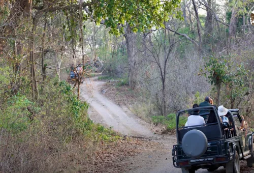 Jim Corbett National Park