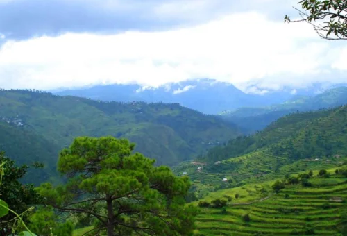 Best Kausani/Ranikhet Tour