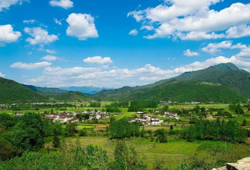 Best Kausani/Ranikhet Tour