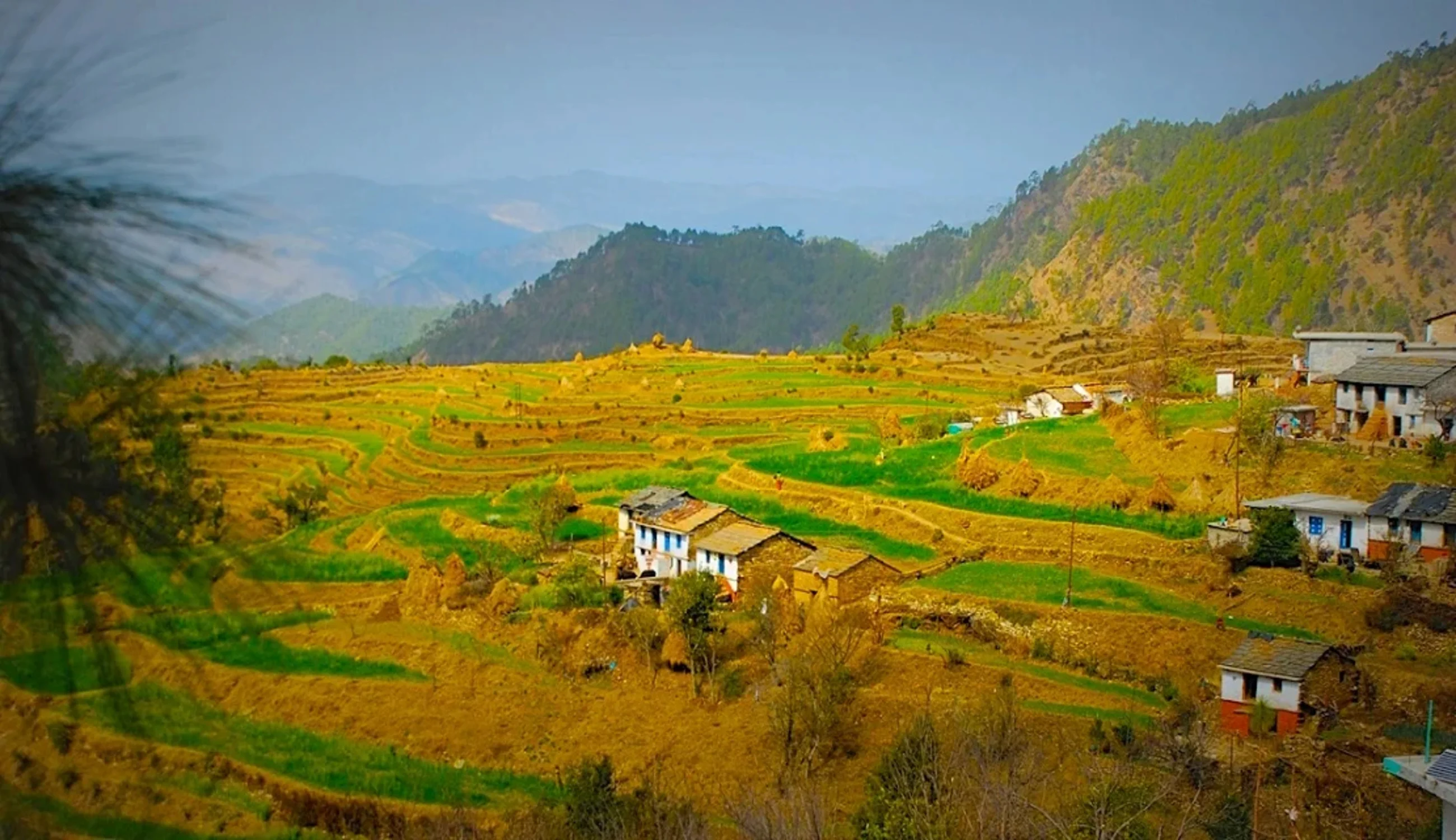 Almora