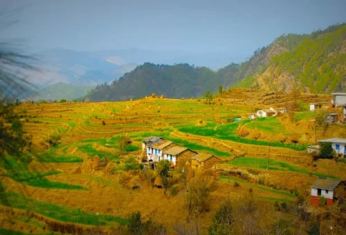 Best Almora Tour