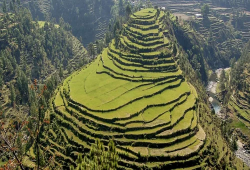 Best Almora Tour