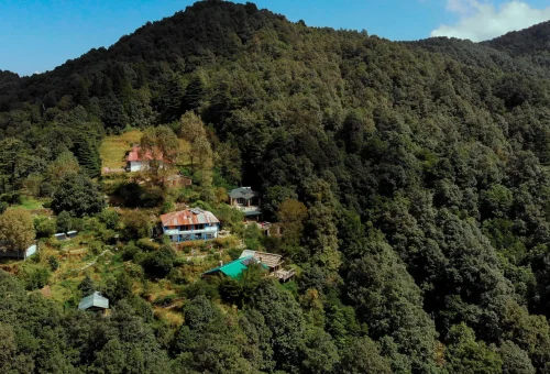 Binsar