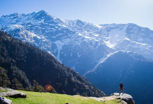 Best Dharamshala Tour