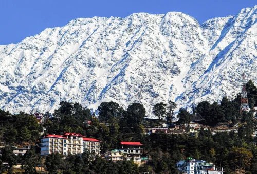Best Dharamshala Tour