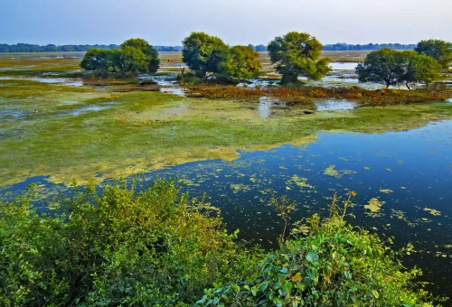 Bharatpur