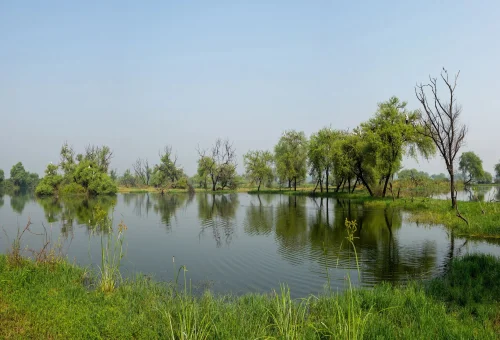Keoladeo National Park - Bharatpur