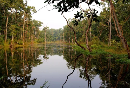 Keoladeo National Park - Bharatpur