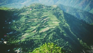 Chail