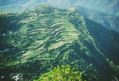Best Chail Tour