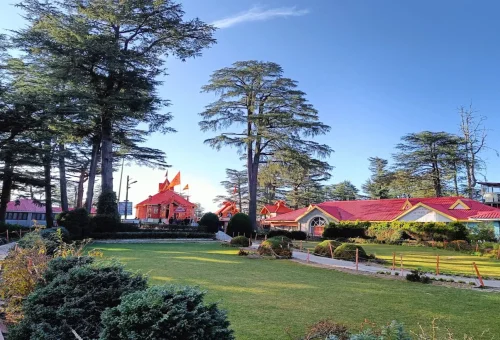 Best Kufri Tour