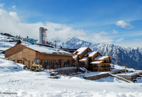Auli