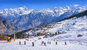 Auli